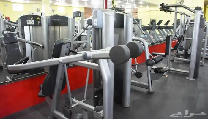 فرصة استثمار نادي للتقبيل 4