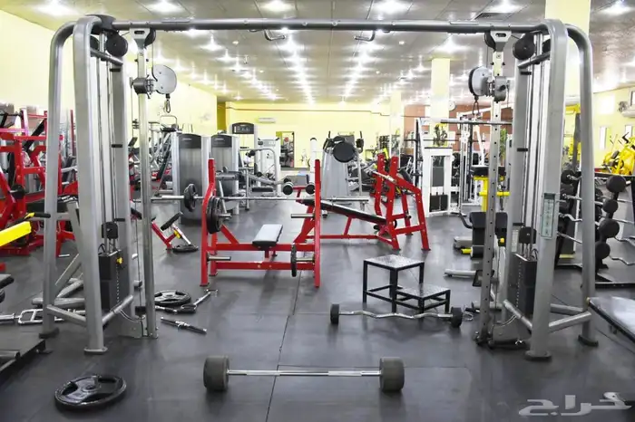 فرصة استثمار نادي للتقبيل 0