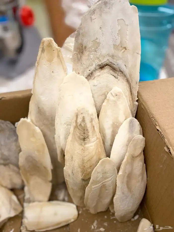 للبيع مستلزمات طيور وملح هيمالايا ومقياس حرارة 6