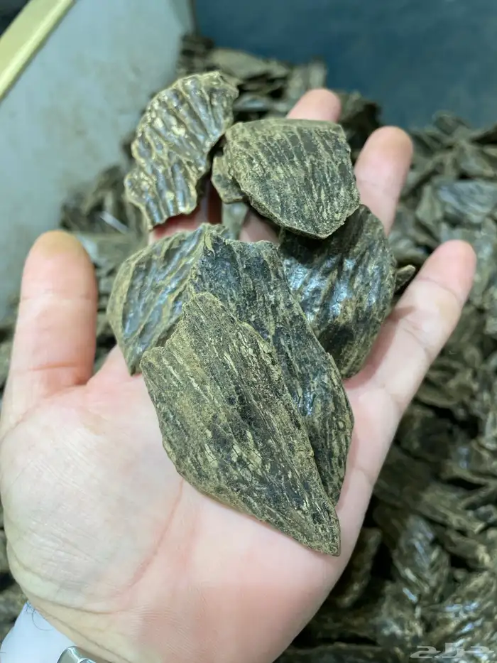 عود بخور كلمنتان محسن درجة اولى 0