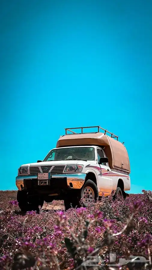 رحلات حايل البريه 31