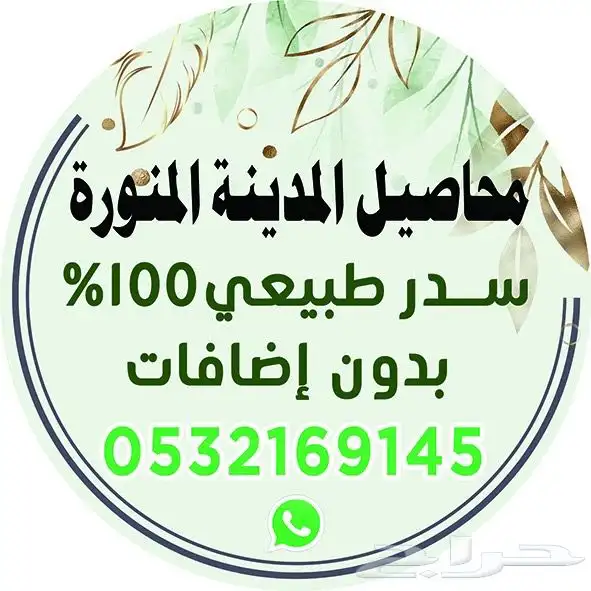 حناء وسدر المدينة المنورة 1