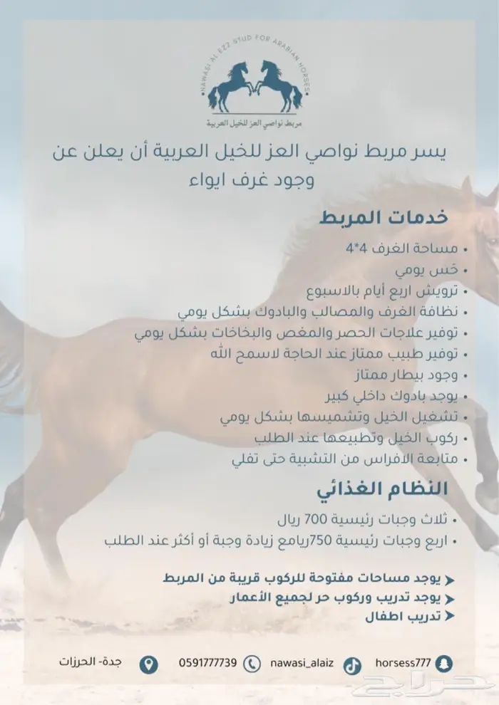 مربط نواصي العز لايواء الخيل والتدريب 0