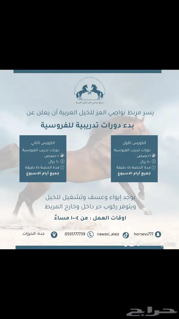 مربط نواصي العز لايواء الخيل والتدريب 1