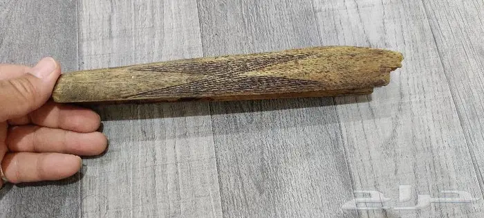 عقب براوننق وخاضن ايطاليه 3