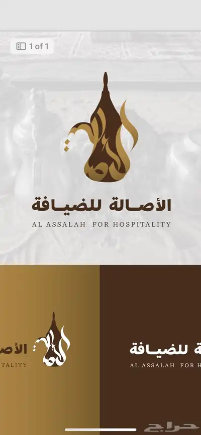 تصميم هوية بصرية - شعارات 2