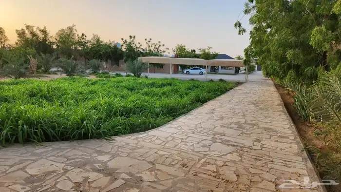 مزرعة فجر للايجار 15