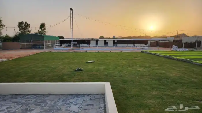 مزرعة فجر للايجار 12