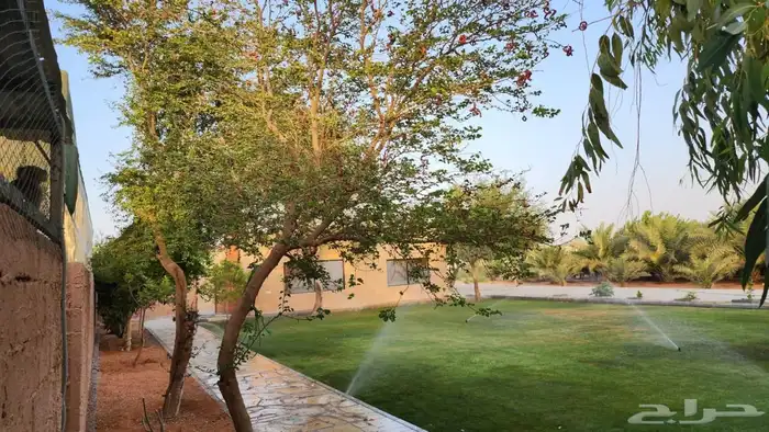 مزرعة فجر للايجار 0