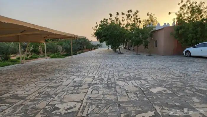 مزرعة فجر للايجار 14