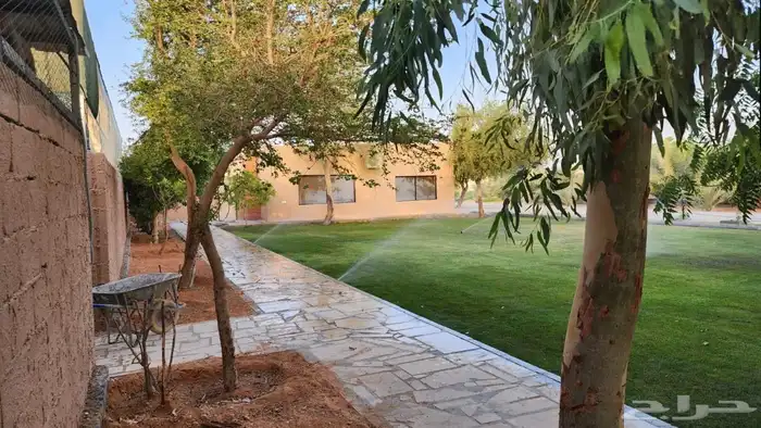 مزرعة فجر للايجار 1