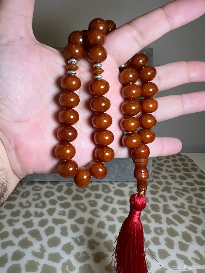 مجموعة سبح فاخرة 6