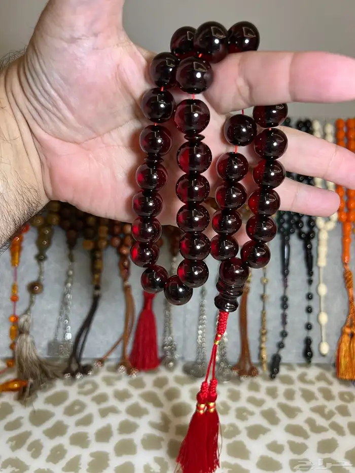 مجموعة سبح فاخرة 9