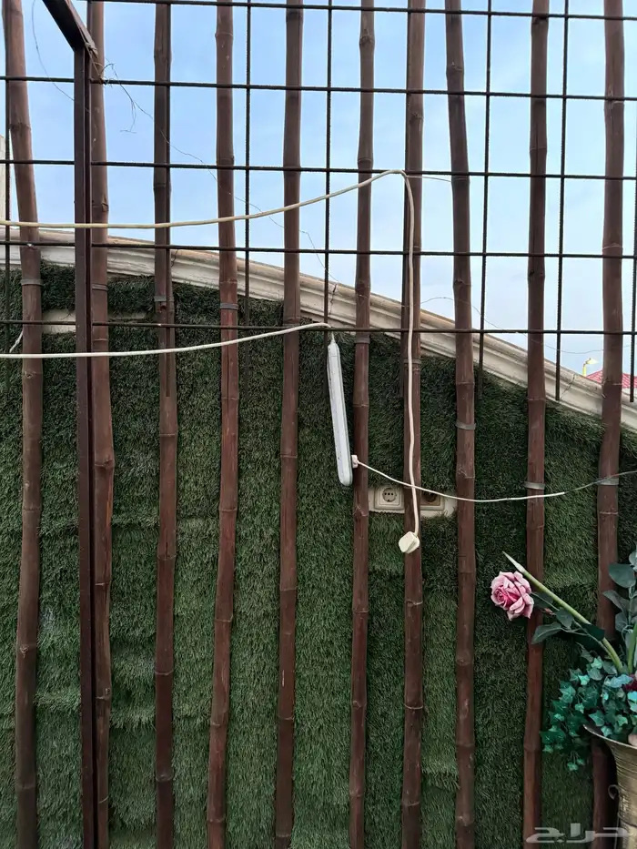 خشب بامبو bamboo 14
