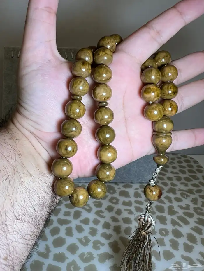 مجموعة سبح فاخرة 8