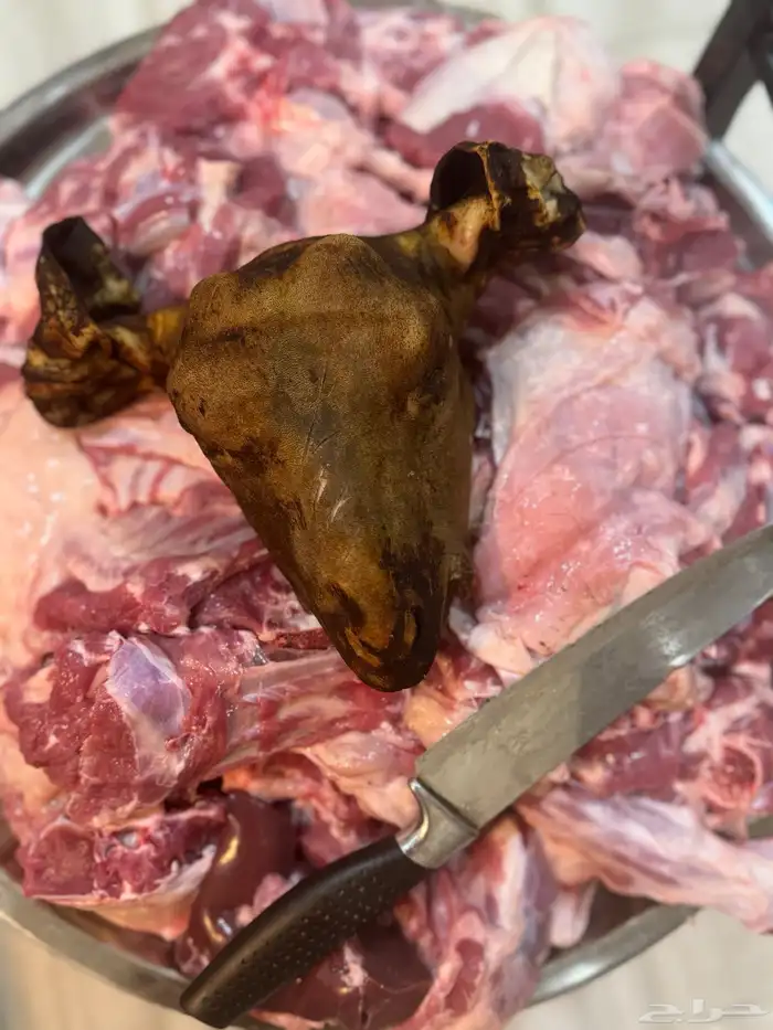 خبز بر نظيف 6