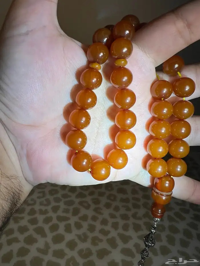 مجموعة سبح فاخرة 1