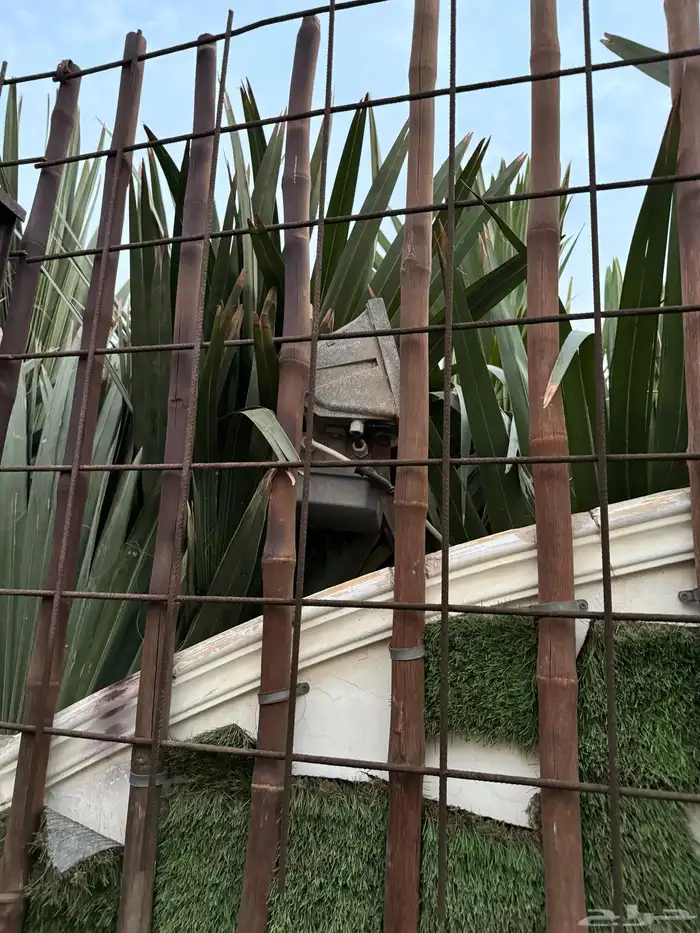 خشب بامبو bamboo 8