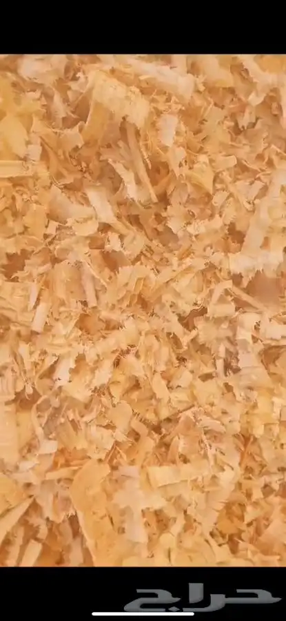 نشارة للخيل و نشارة دواجن 1