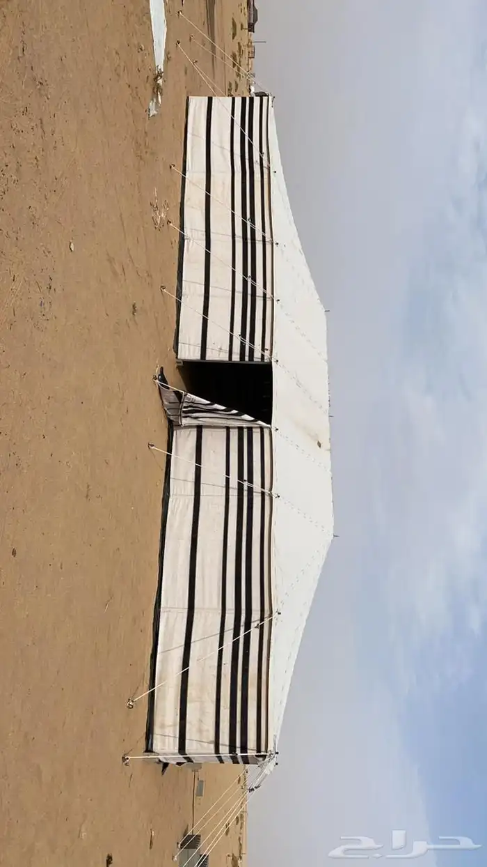 بيت شعر بيوت شعر بيض 0