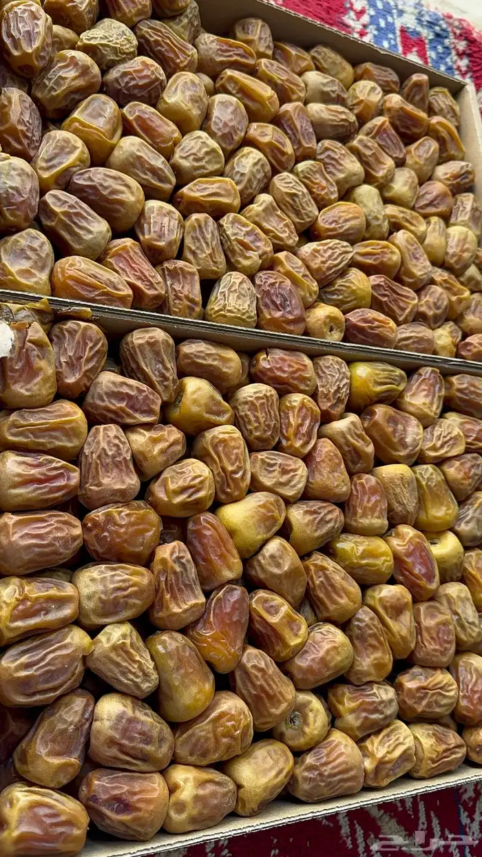 تمر سكري مفتل اصفر حبه كبيره ماشاءالله 1