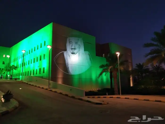 كشافات اليوم الوطني 2