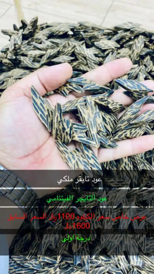 عود فتنامي تاجر وعود الأزرق وعود موروكي فاخر 2