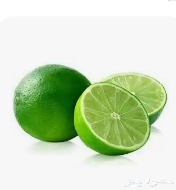 شتلات ليمون بن زهير 15ريال 0