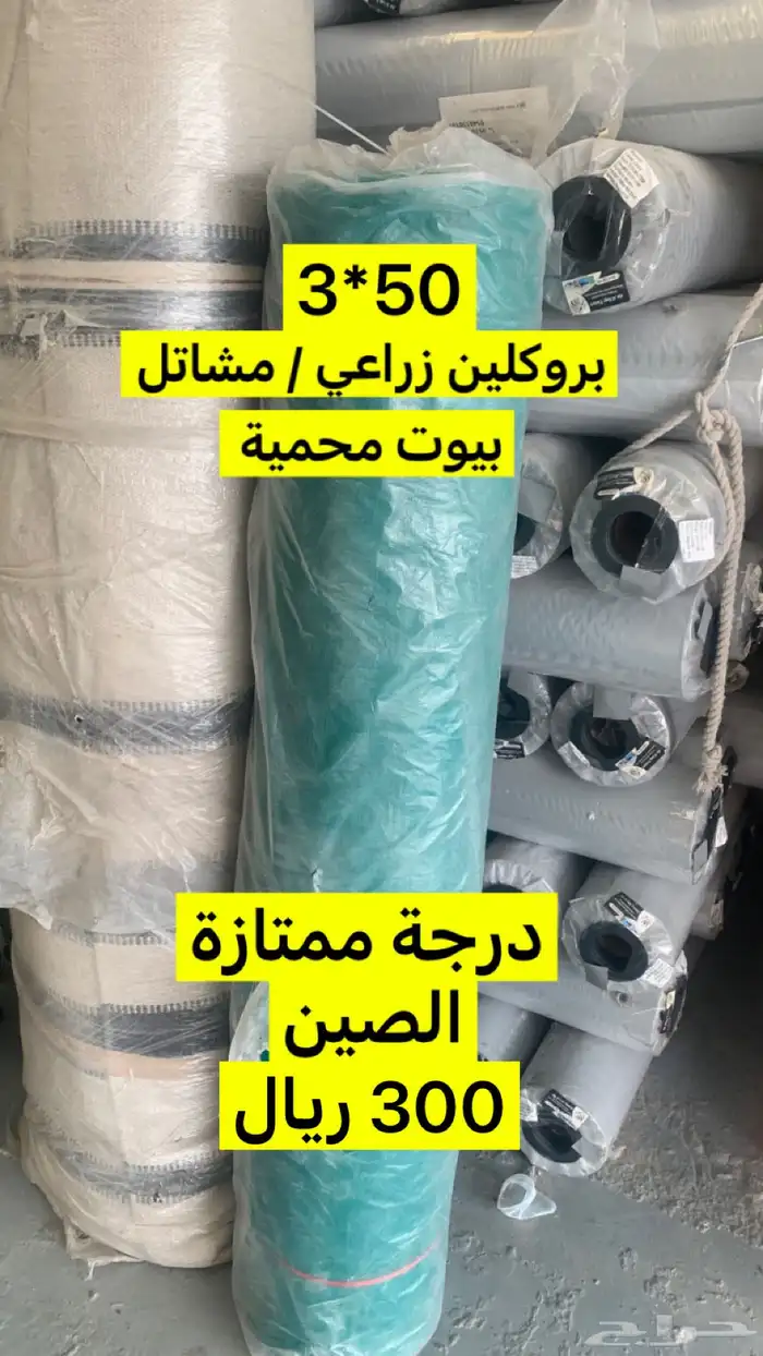 بروكلين زراعي و مخيمات 3
