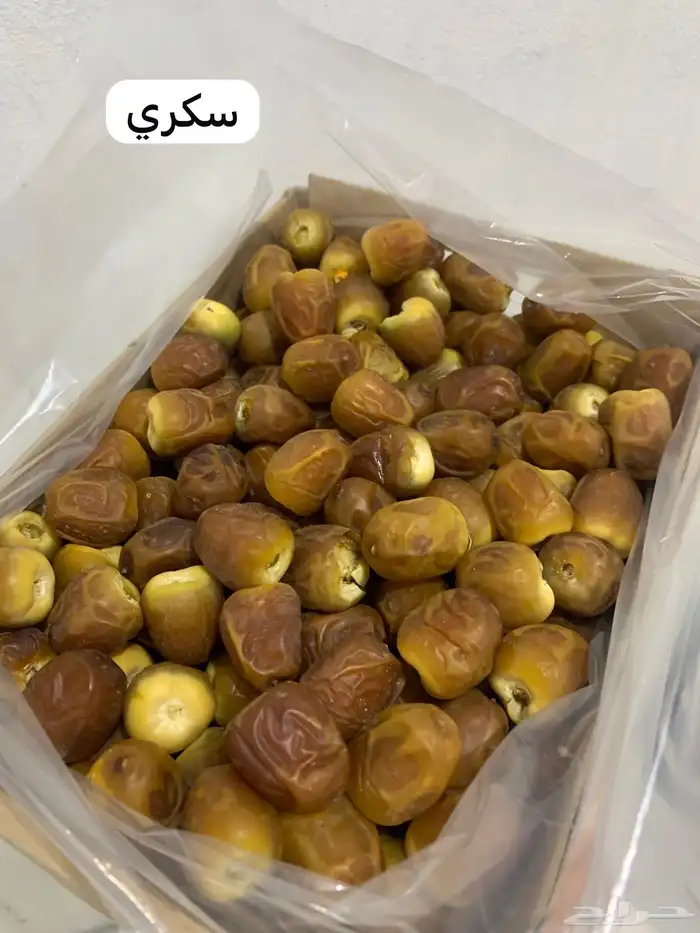 تمور رطب حايل الفاخرة 6