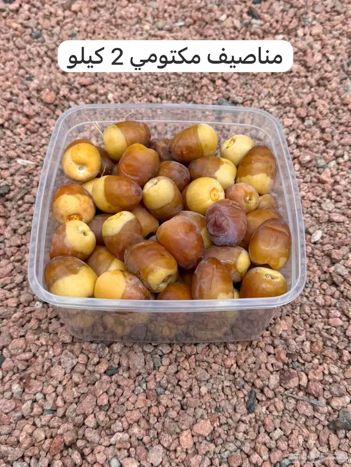 تمور رطب حايل الفاخرة 2