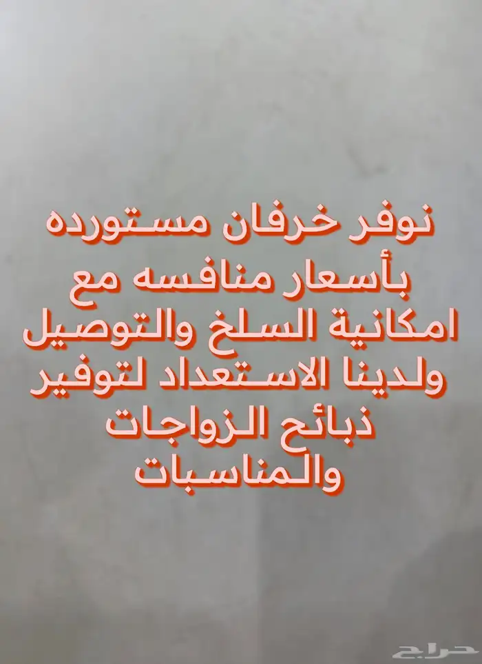 ذبيحتك لباب بيتك ب 780 ريال بس 1
