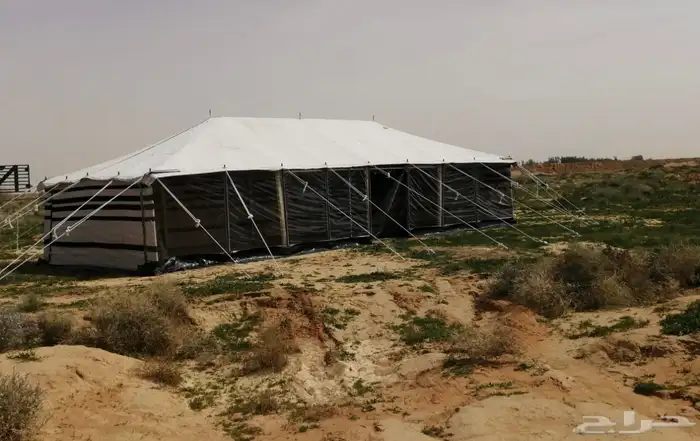 بيت شعر بيوت شعر خيمة 4