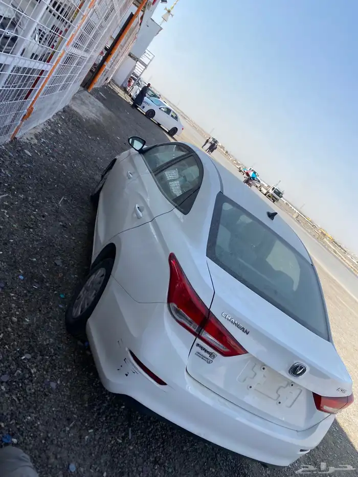 شانجان السفن2023 2