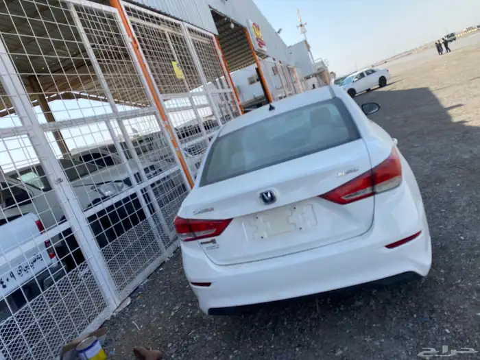 شانجان السفن2023 1