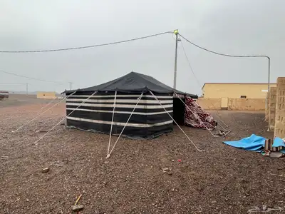 بيوت شعر جميع المقاسات وا أشكال جديده 17