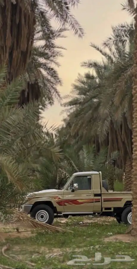 شاص 2012 عادي مكره 10