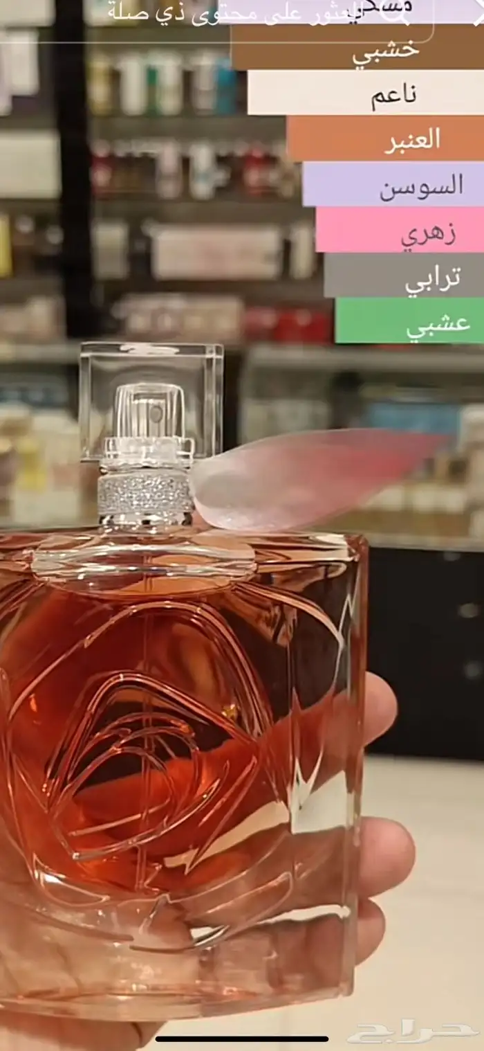 كلها عطورت مطار سعرنا مره حلوه 45