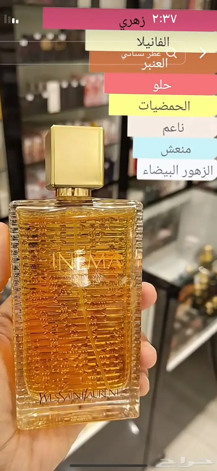 كلها عطورت مطار سعرنا مره حلوه 14