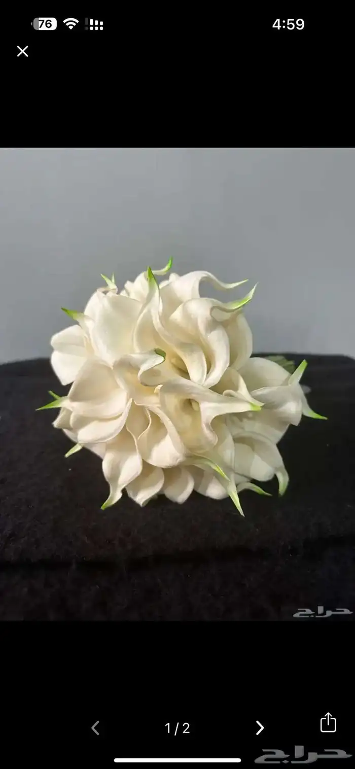 مسكة عروس جديدة استخدام مره وحدة 1