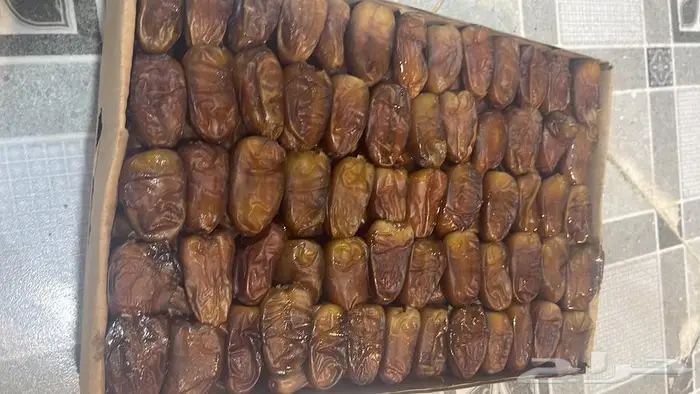 برني العيص الفاخر 7