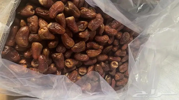 برني العيص الفاخر 8