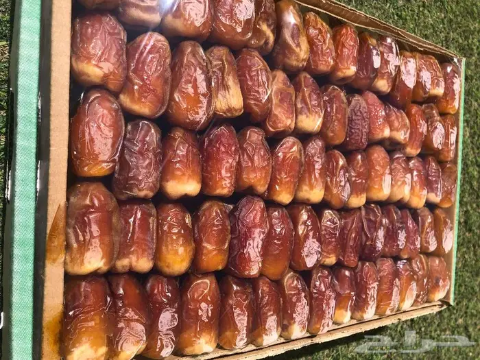 صقعي 0
