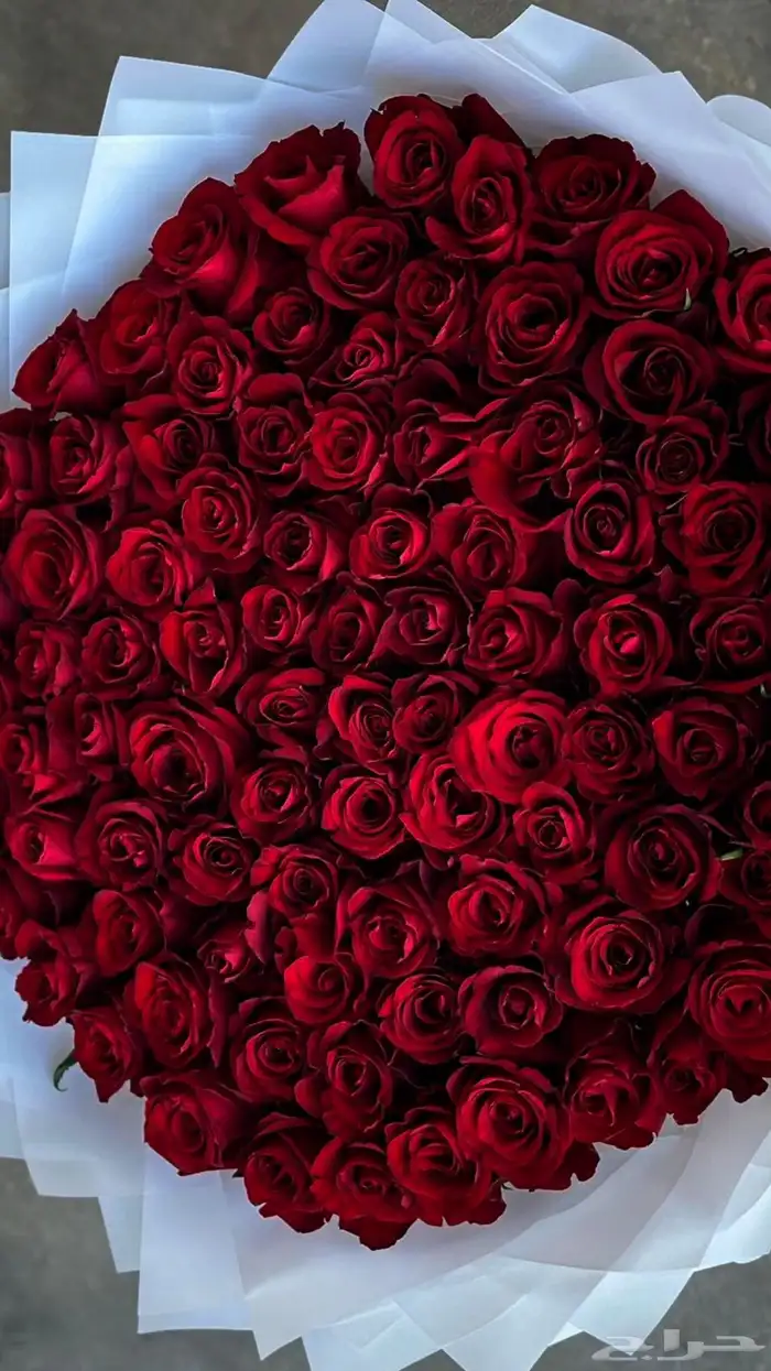 هداياكم على مزاجكم 9