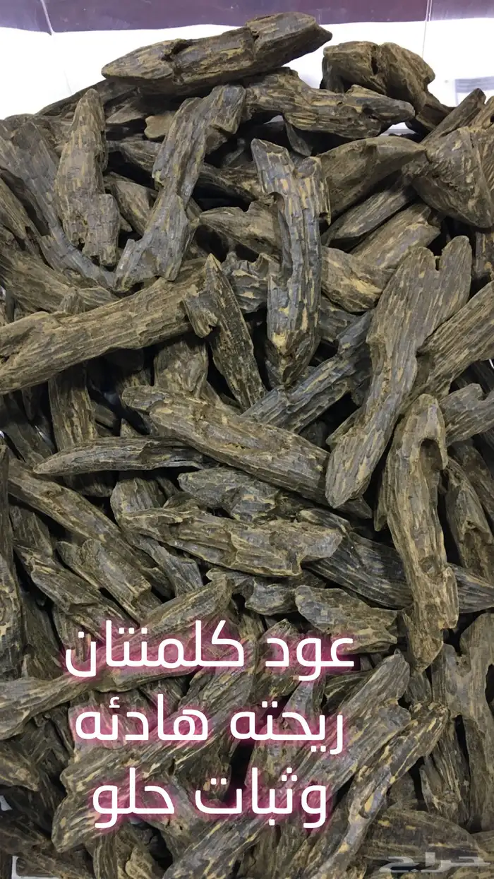عود طبيعي محس ن بسعر الجملة 0