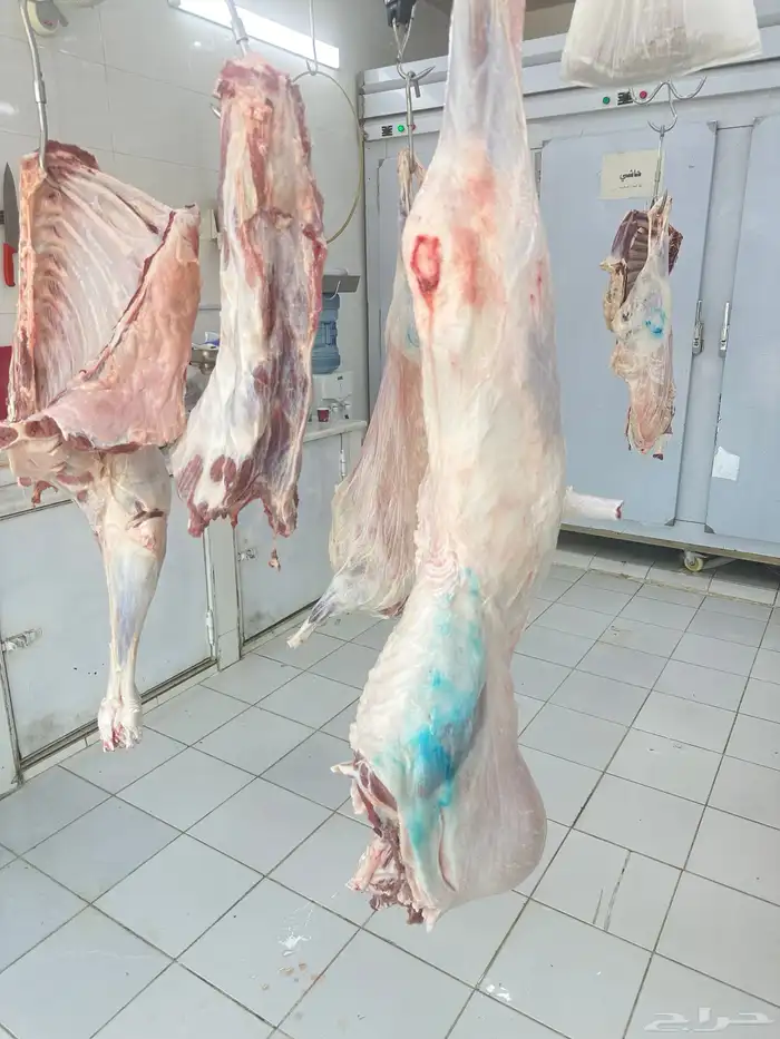 ملحمة نوادر الجزيرة للحوم الطازجة 74