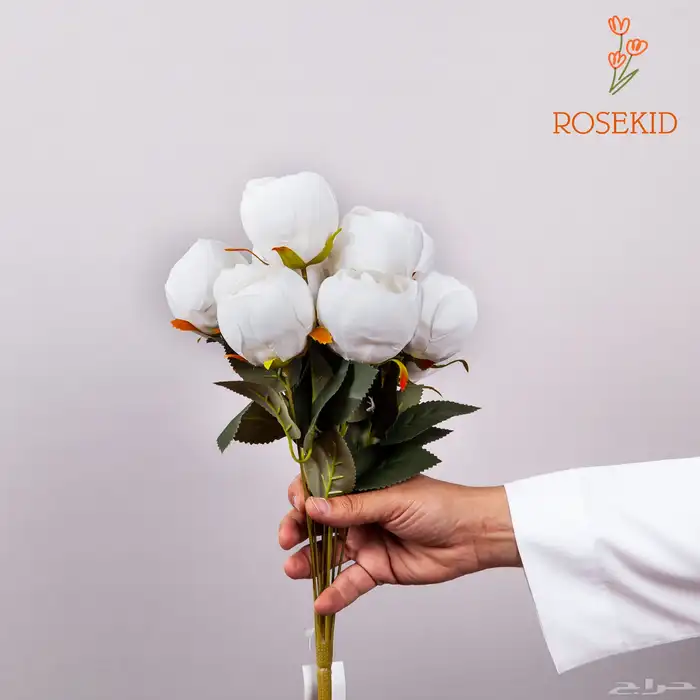 مصور منتجات 2