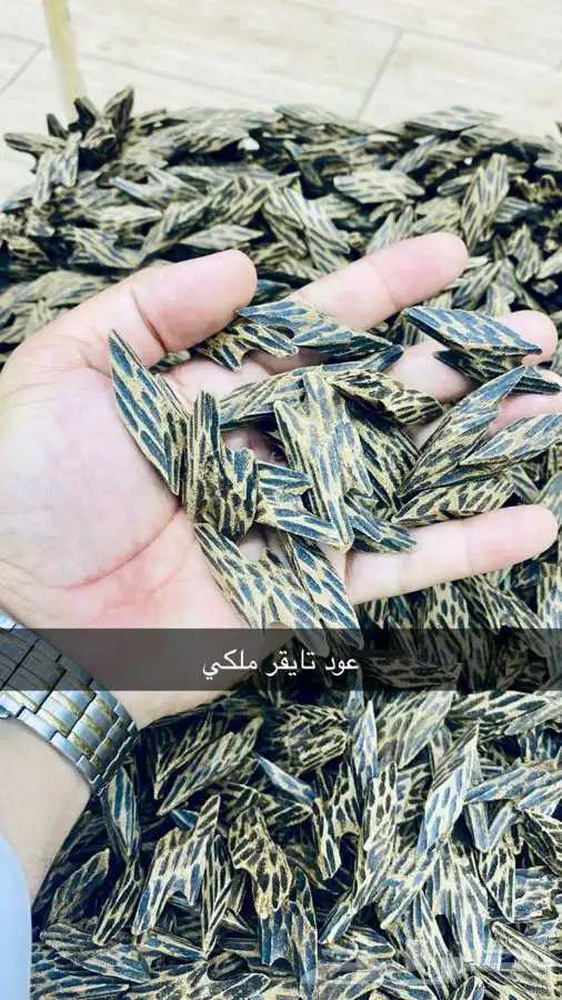 عود التايجر الفيتنامي عود تايقر فيتنامي نخب اول (ملكي 0