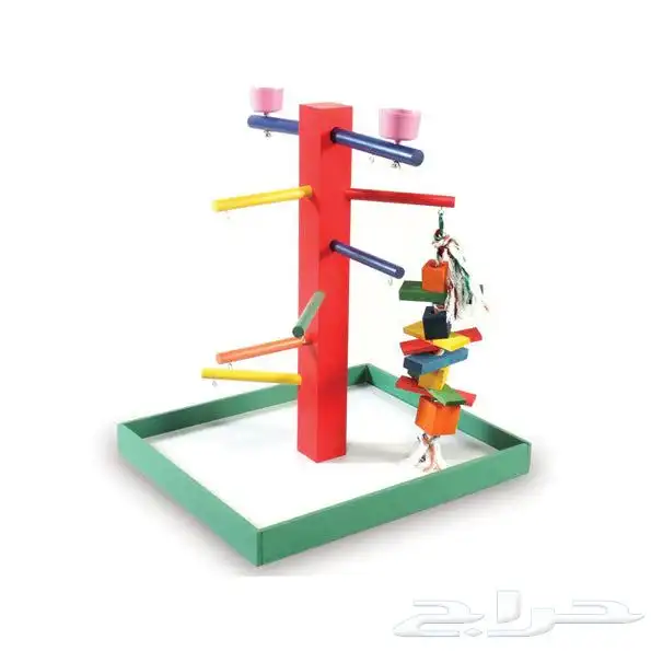 متجر Modi Birds 19