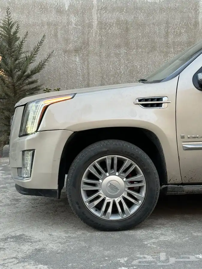 اسكاليد 2008 بلاتينيوم 6